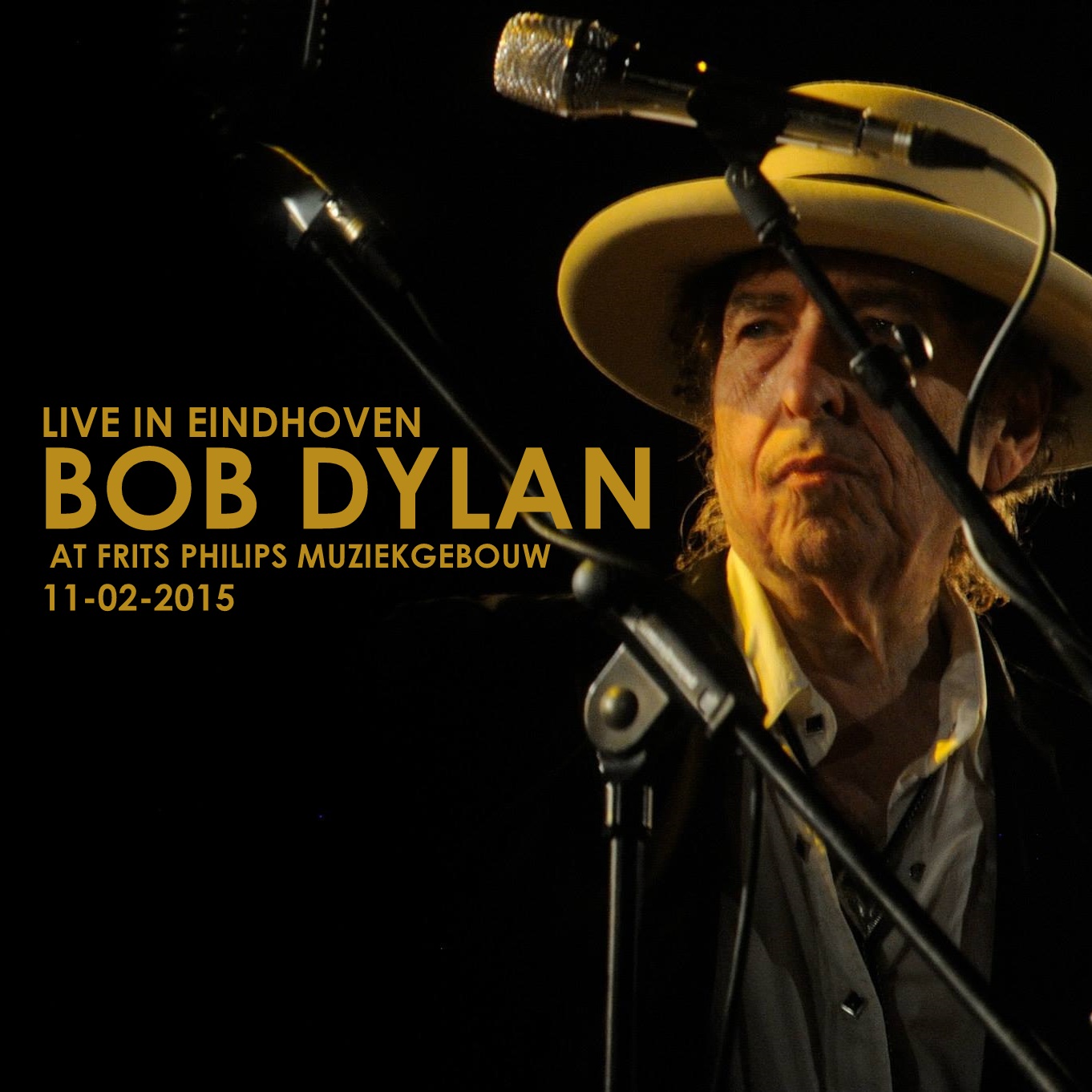 BobDylan2015-11-02MuziekgebouwFritsPhilipsEindhovenHolland (5).jpg